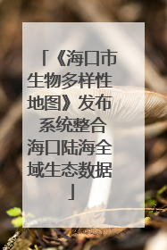 《海口市生物多样性地图》发布 系统整合海口陆海全域生态数据