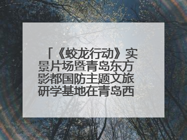 《蛟龙行动》实景片场暨青岛东方影都国防主题文旅研学基地在青岛西海岸新区开业