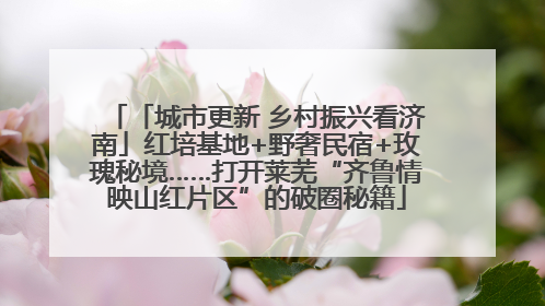 「城市更新 乡村振兴看济南」红培基地+野奢民宿+玫瑰秘境……打开莱芜“齐鲁情映山红片区”的破圈秘籍