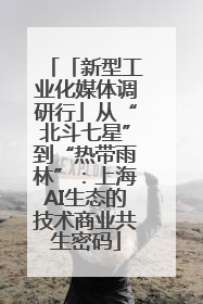 「新型工业化媒体调研行」从“北斗七星”到“热带雨林”：上海AI生态的技术商业共生密码
