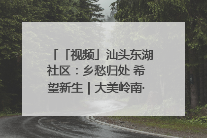 「视频」汕头东湖社区：乡愁归处 希望新生｜大美岭南·百村焕新记