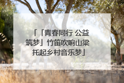「青春同行 公益筑梦」竹笛吹响山梁 托起乡村音乐梦