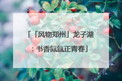 「风物郑州」龙子湖：书香氤氲正青春