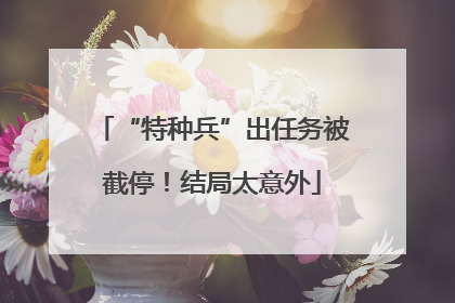 “特种兵”出任务被截停！结局太意外