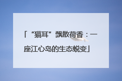 “猫耳”飘散荷香：一座江心岛的生态蜕变