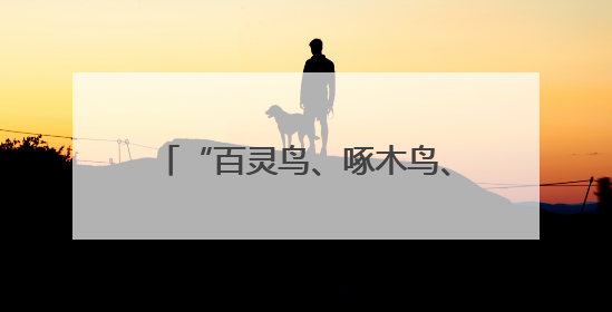 “百灵鸟、啄木鸟、织布鸟”，为仙居县域发展注入“新”动能