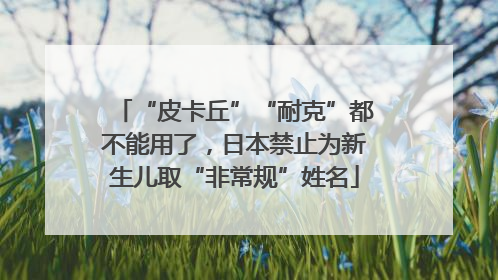 “皮卡丘”“耐克”都不能用了，日本禁止为新生儿取“非常规”姓名