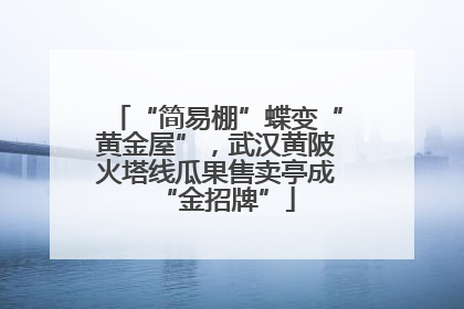 “简易棚”蝶变“黄金屋”，武汉黄陂火塔线瓜果售卖亭成“金招牌”