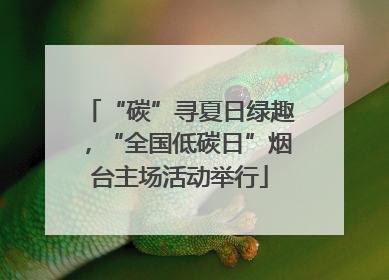 “碳”寻夏日绿趣，“全国低碳日”烟台主场活动举行