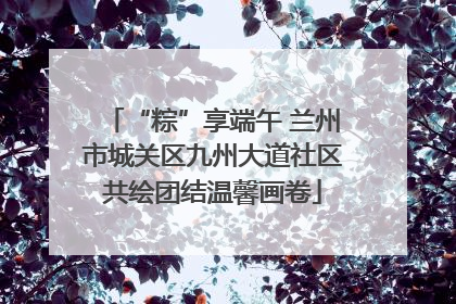 “粽”享端午 兰州市城关区九州大道社区共绘团结温馨画卷