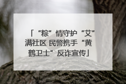 “粽”情守护“艾”满社区 民警携手“黄鹤卫士”反诈宣传