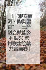 “粮安商河・陶梨留香”：三产融合赋能乡村振兴 跨村联建绘就共富画卷
