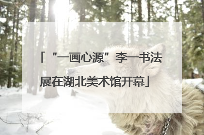 “一画心源”李一书法展在湖北美术馆开幕