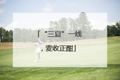 “三夏”一线，麦收正酣