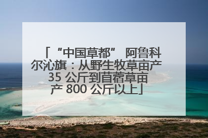 “中国草都” 阿鲁科尔沁旗：从野生牧草亩产 35 公斤到苜蓿草亩产 800 公斤以上