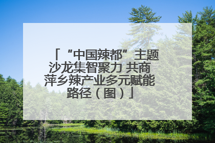 “中国辣都”主题沙龙集智聚力 共商萍乡辣产业多元赋能路径（图）