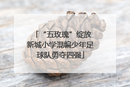 “五玫瑰”绽放 新城小学混编少年足球队勇夺四强