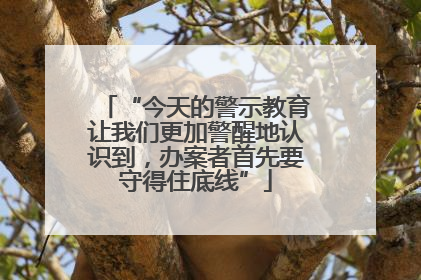 “今天的警示教育让我们更加警醒地认识到，办案者首先要守得住底线”