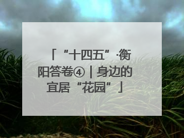 “十四五”·衡阳答卷④｜身边的宜居“花园”