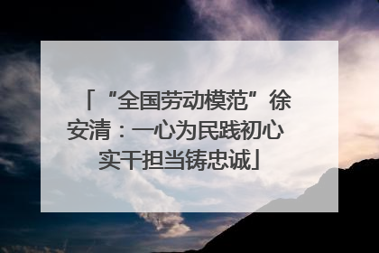 “全国劳动模范”徐安清：一心为民践初心 实干担当铸忠诚