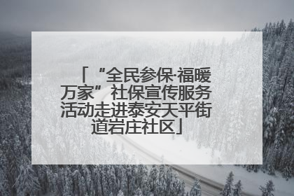 “全民参保·福暖万家”社保宣传服务活动走进泰安天平街道岩庄社区