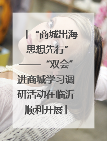 “商城出海 思想先行”——“双会”进商城学习调研活动在临沂顺利开展