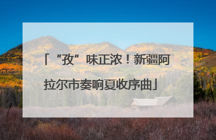 “孜”味正浓！新疆阿拉尔市奏响夏收序曲