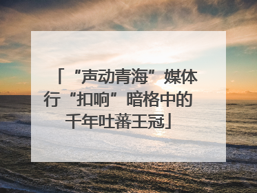 “声动青海”媒体行“扣响”暗格中的千年吐蕃王冠