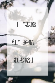 “志愿红”护航赶考路