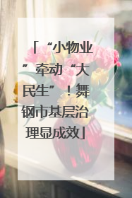 “小物业”牵动“大民生”！舞钢市基层治理显成效