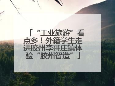 “工业旅游”看点多！外籍学生走进胶州李哥庄镇体验“胶州智造”