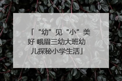 “幼”见“小”美好 峨眉三幼大班幼儿探秘小学生活