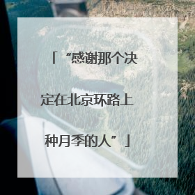 “感谢那个决定在北京环路上种月季的人”