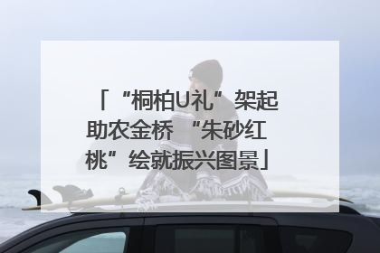 “桐柏U礼”架起助农金桥 “朱砂红桃”绘就振兴图景