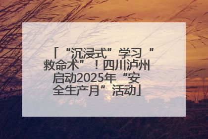 “沉浸式”学习“救命术”！四川泸州启动2025年“安全生产月”活动