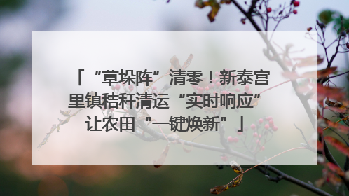 “草垛阵”清零！新泰宫里镇秸秆清运“实时响应”让农田“一键焕新”