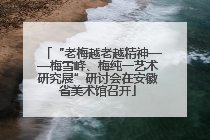 “老梅越老越精神——梅雪峰、梅纯一艺术研究展”研讨会在安徽省美术馆召开