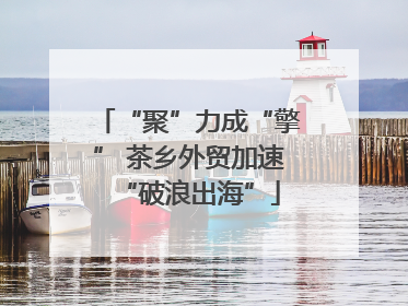 “聚”力成“擎” 茶乡外贸加速“破浪出海”