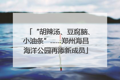 “胡辣汤、豆腐脑、小油条”……郑州海昌海洋公园再添新成员