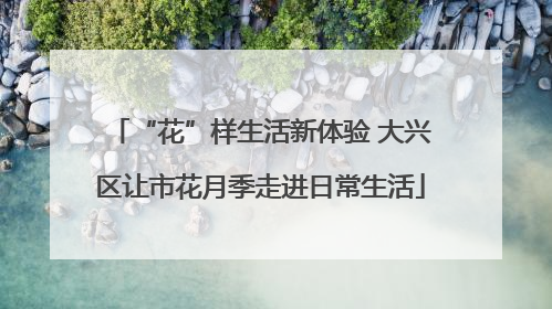 “花”样生活新体验 大兴区让市花月季走进日常生活