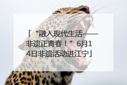 “融入现代生活——非遗正青春！”6月14日非遗活动进江宁