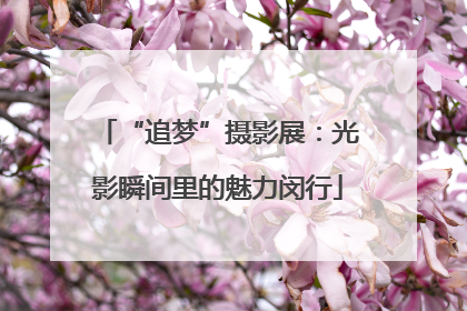 “追梦”摄影展：光影瞬间里的魅力闵行