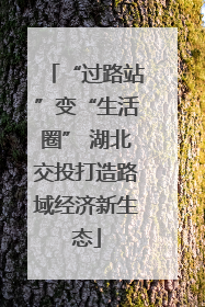 “过路站”变“生活圈” 湖北交投打造路域经济新生态