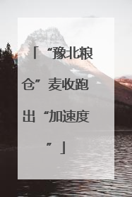 “豫北粮仓”麦收跑出“加速度”