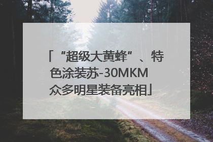 “超级大黄蜂”、特色涂装苏-30MKM 众多明星装备亮相