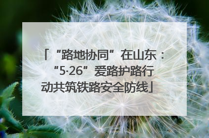 “路地协同”在山东：“5·26”爱路护路行动共筑铁路安全防线