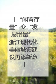 “闲置存量”变“发展增量” 浙江现代化美丽城镇建设再添新意