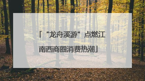 “龙舟溪游”点燃江南西商圈消费热潮