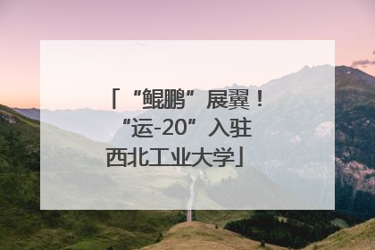“鲲鹏”展翼！“运-20”入驻西北工业大学