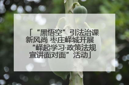 “黑悟空”引法治课新风尚 枣庄峄城开展“峄起学习·政策法规宣讲面对面”活动
